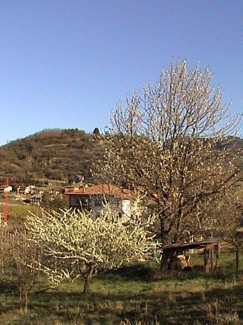 B&B La Pinara Trento Luaran gambar